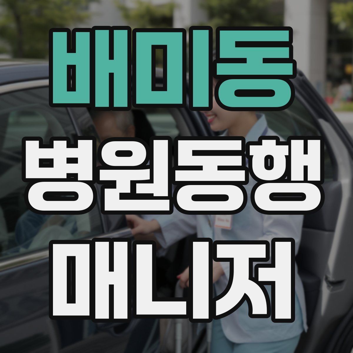 배미동 병원동행매니저 자격증