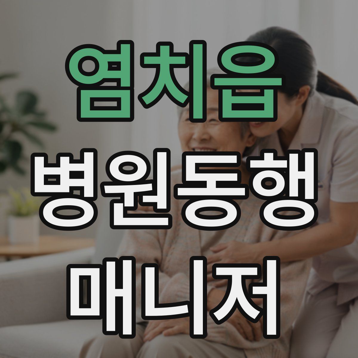 염치읍 병원동행매니저 자격증