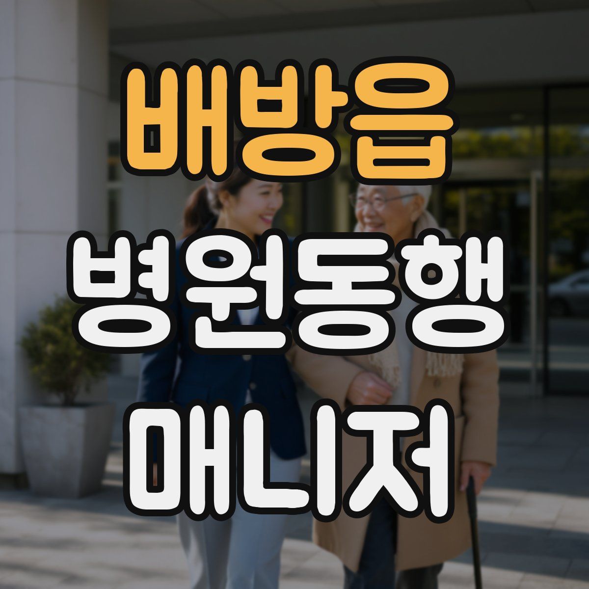 배방읍 병원동행매니저 자격증