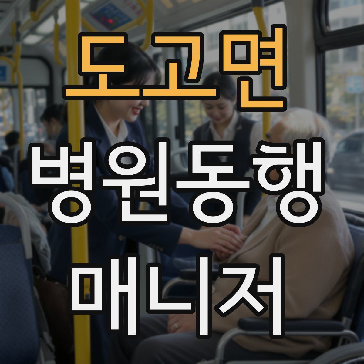 도고면 병원동행매니저 자격증