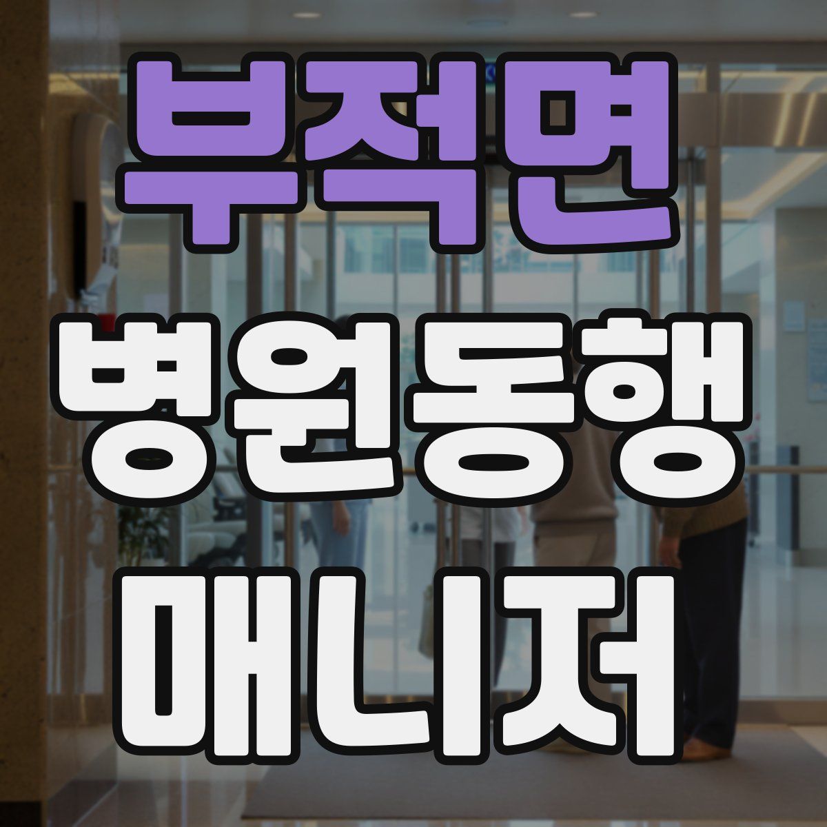 부적면 병원동행매니저 자격증