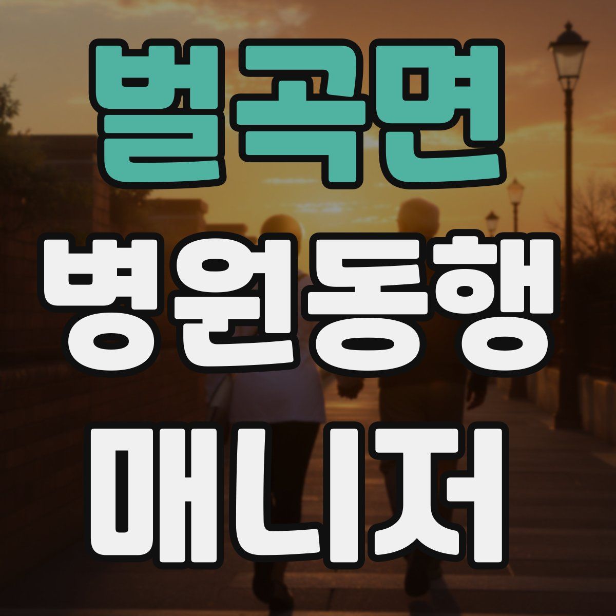 벌곡면 병원동행매니저 자격증