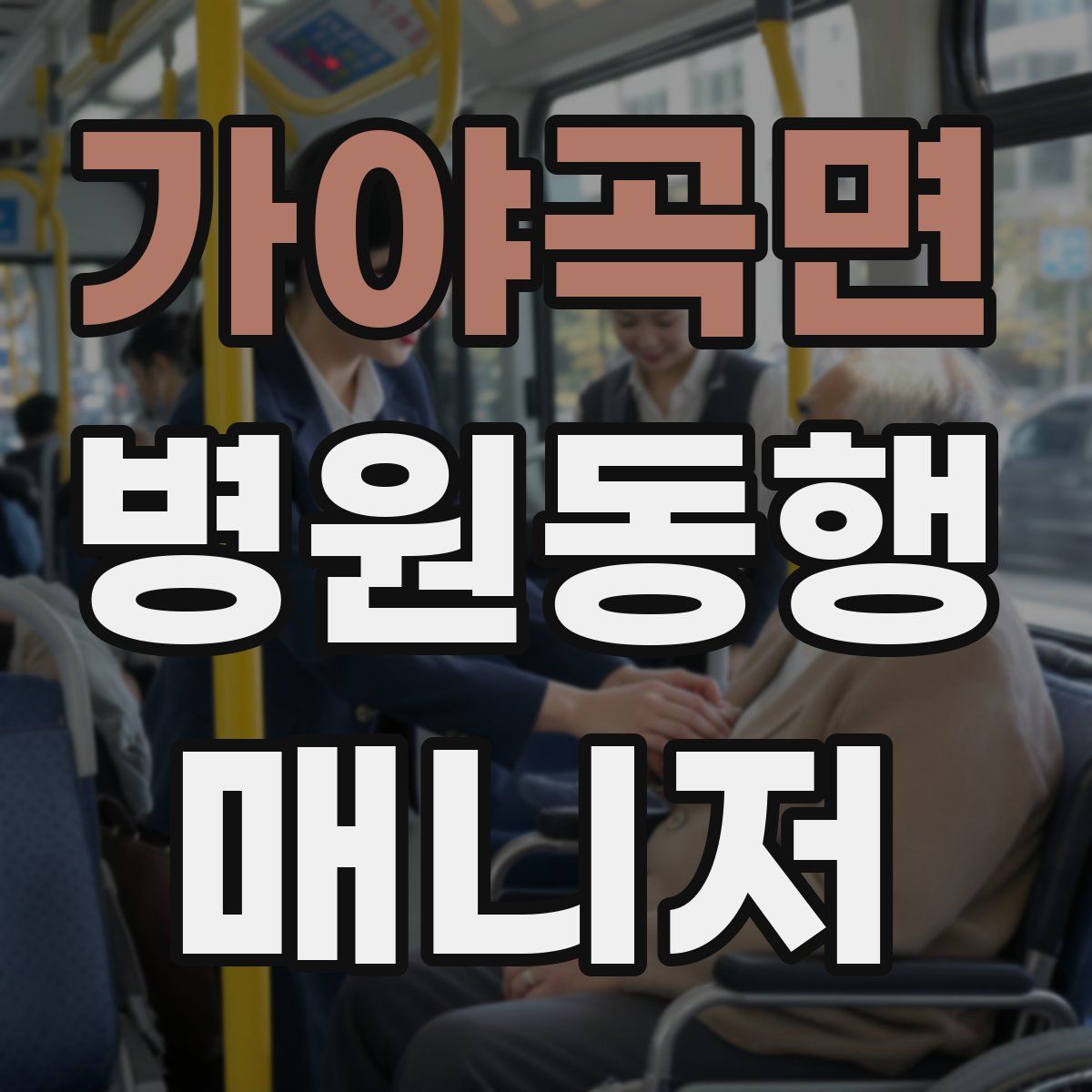 가야곡면 병원동행매니저 자격증
