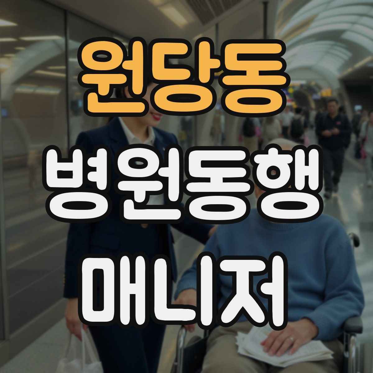 원당동 병원동행매니저 자격증