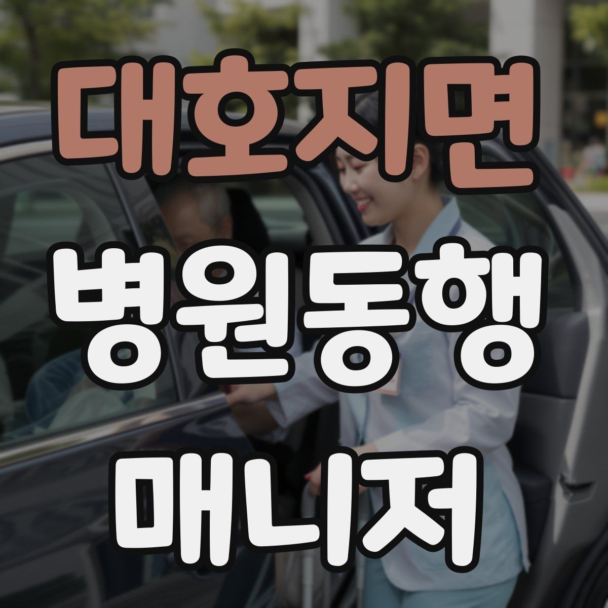 대호지면 병원동행매니저 자격증 자동문·회전문 통과 시 안전 요령