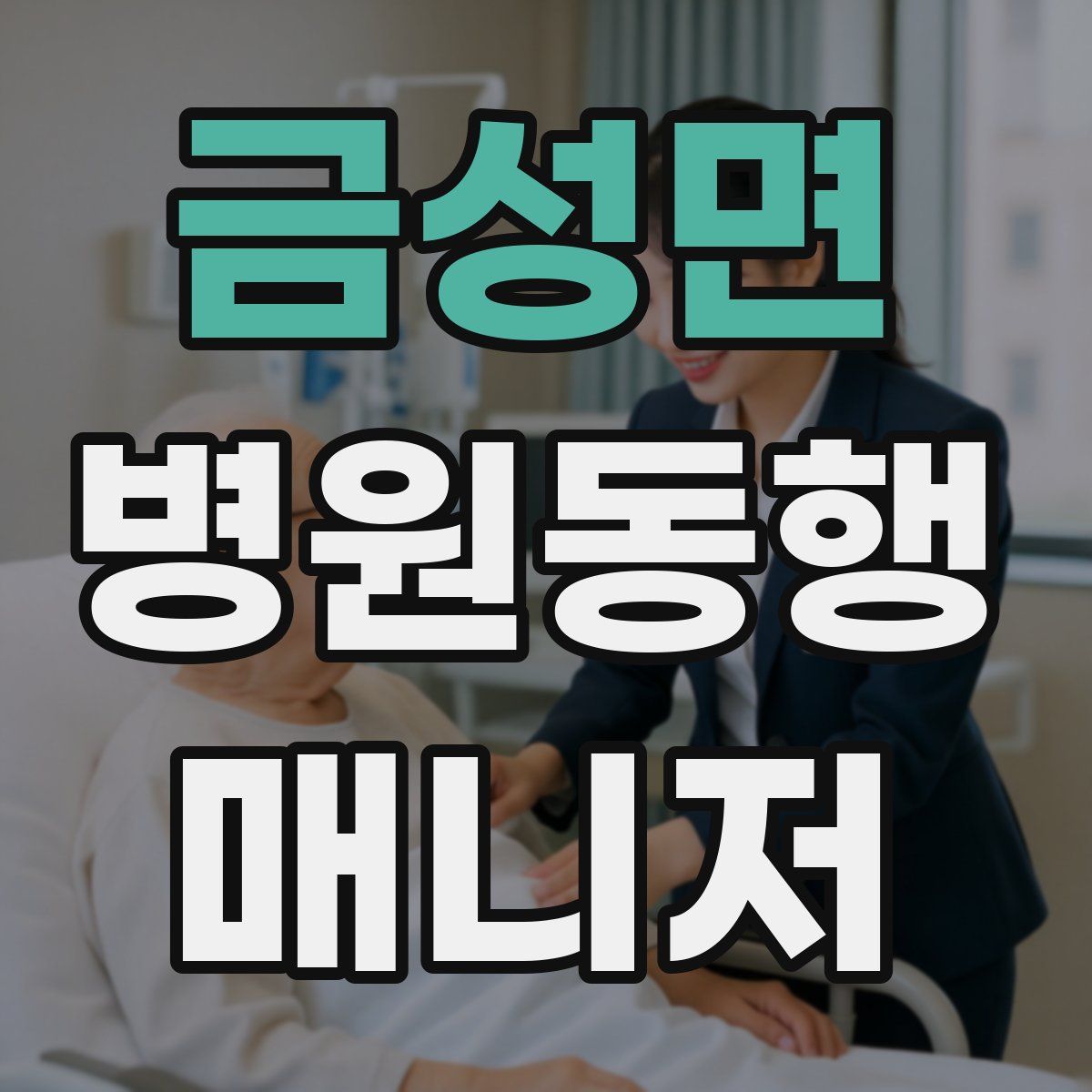 금성면 병원동행매니저 자격증