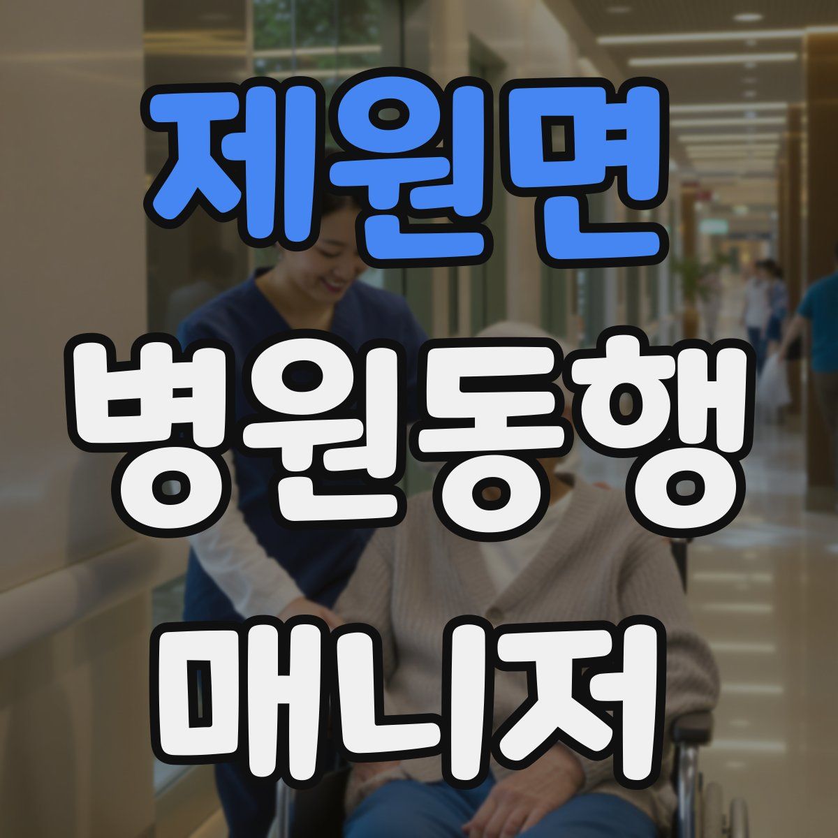 제원면 병원동행매니저 자격증