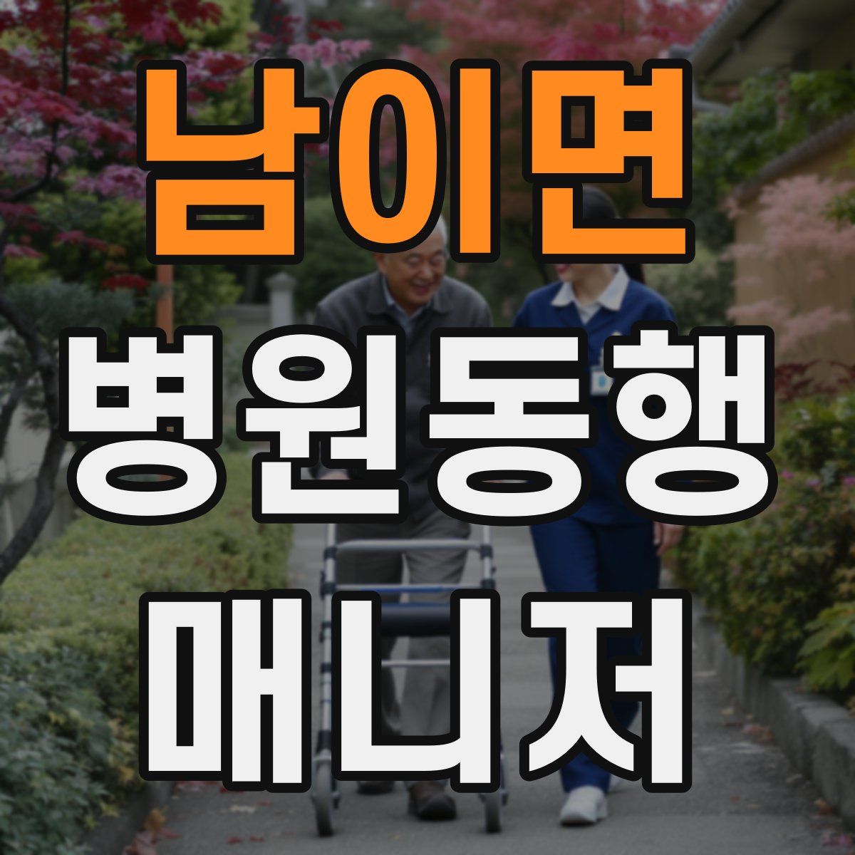 남이면 병원동행매니저 자격증