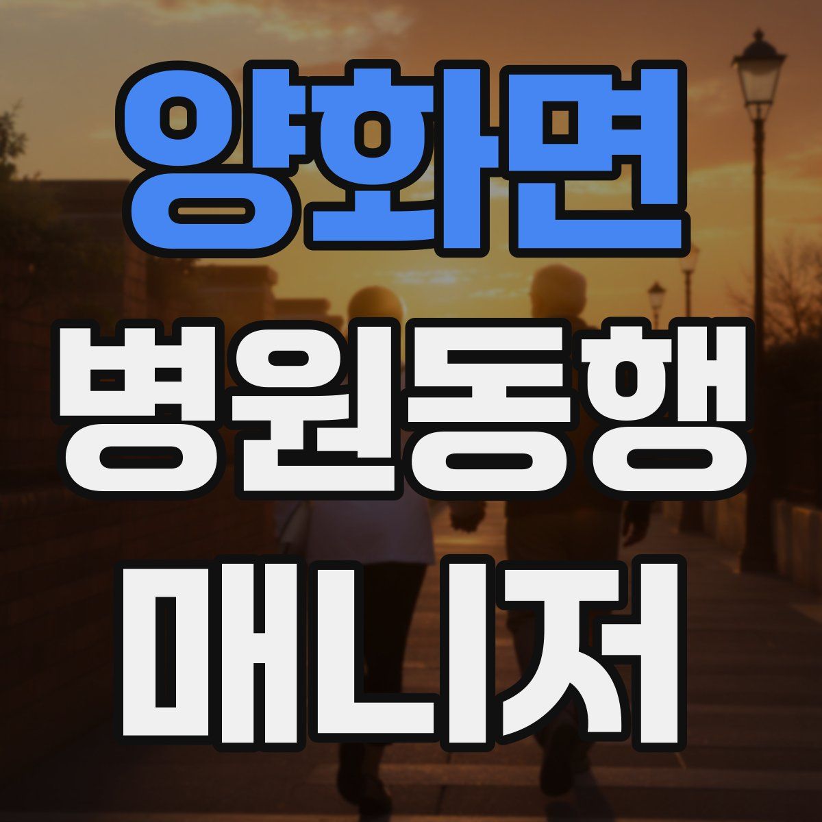 양화면 병원동행매니저 자격증