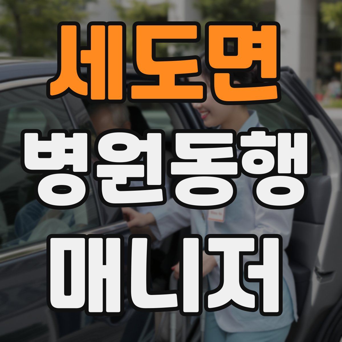 세도면 병원동행매니저 자격증