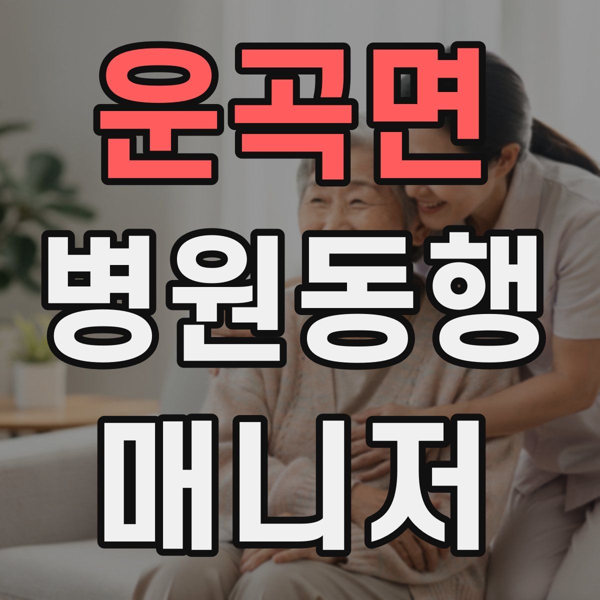 운곡면 병원동행매니저 자격증