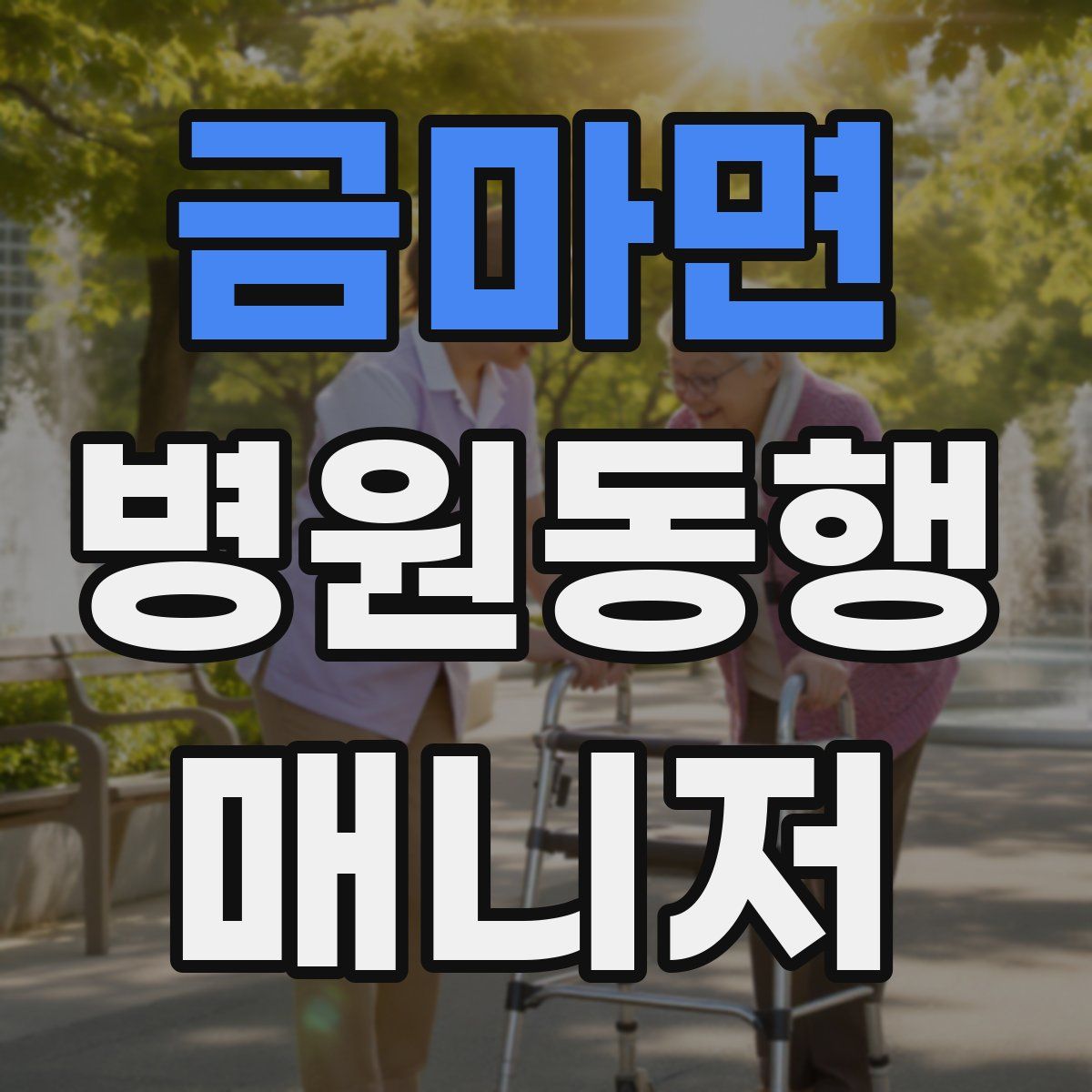 금마면 병원동행매니저 자격증