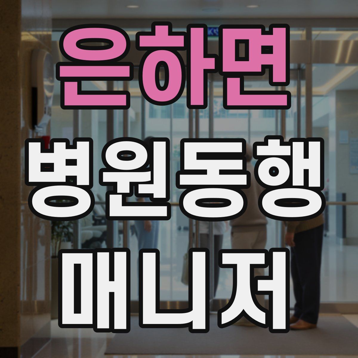 은하면 병원동행매니저 자격증