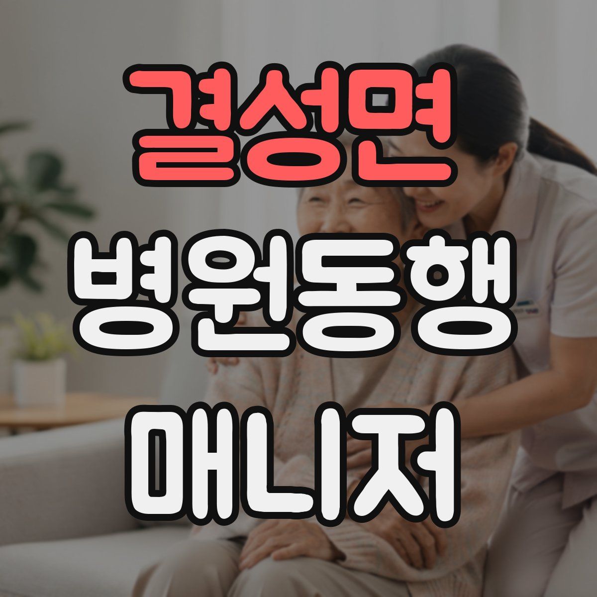 결성면 병원동행매니저 자격증