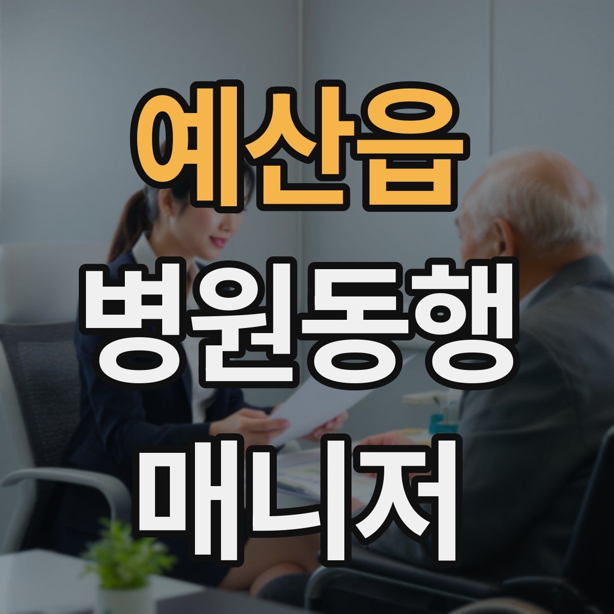 예산읍 병원동행매니저 자격증