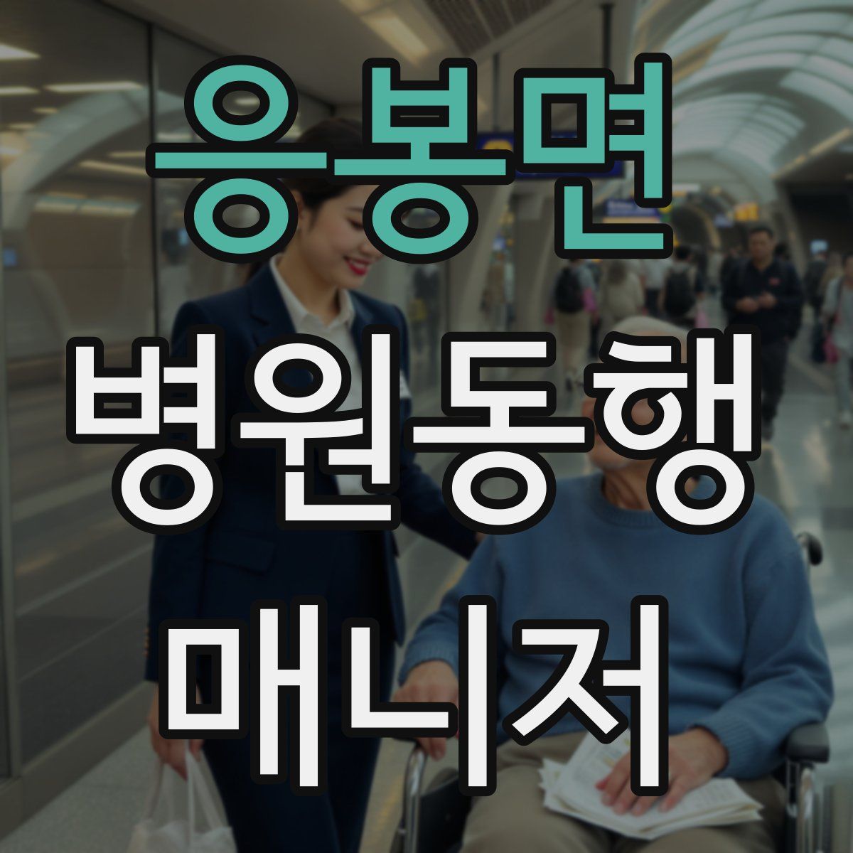 응봉면 병원동행매니저 자격증