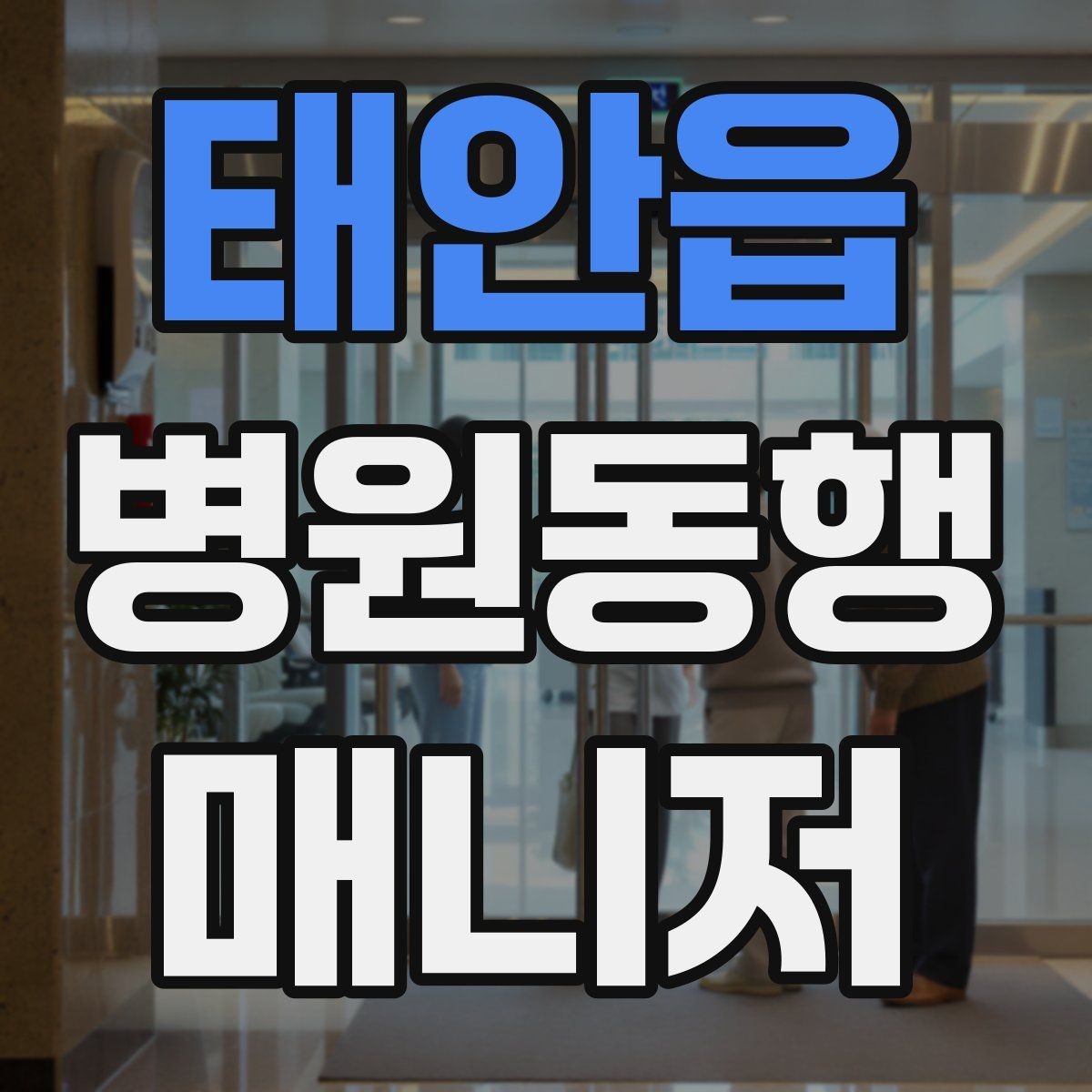 태안읍 병원동행매니저 자격증 나에게 맞는 활동 스타일 찾는 방법