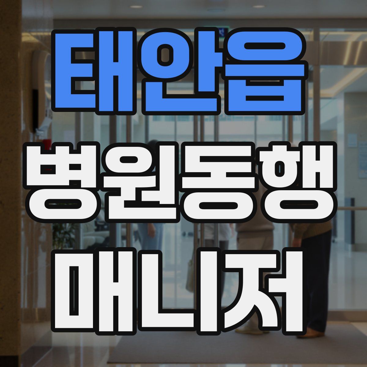 태안읍 병원동행매니저 자격증