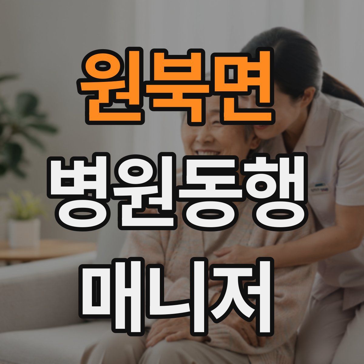 원북면 병원동행매니저 자격증