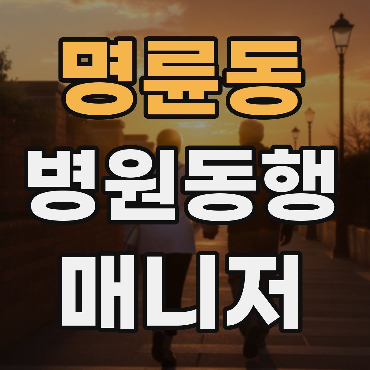 명륜동 병원동행매니저 자격증