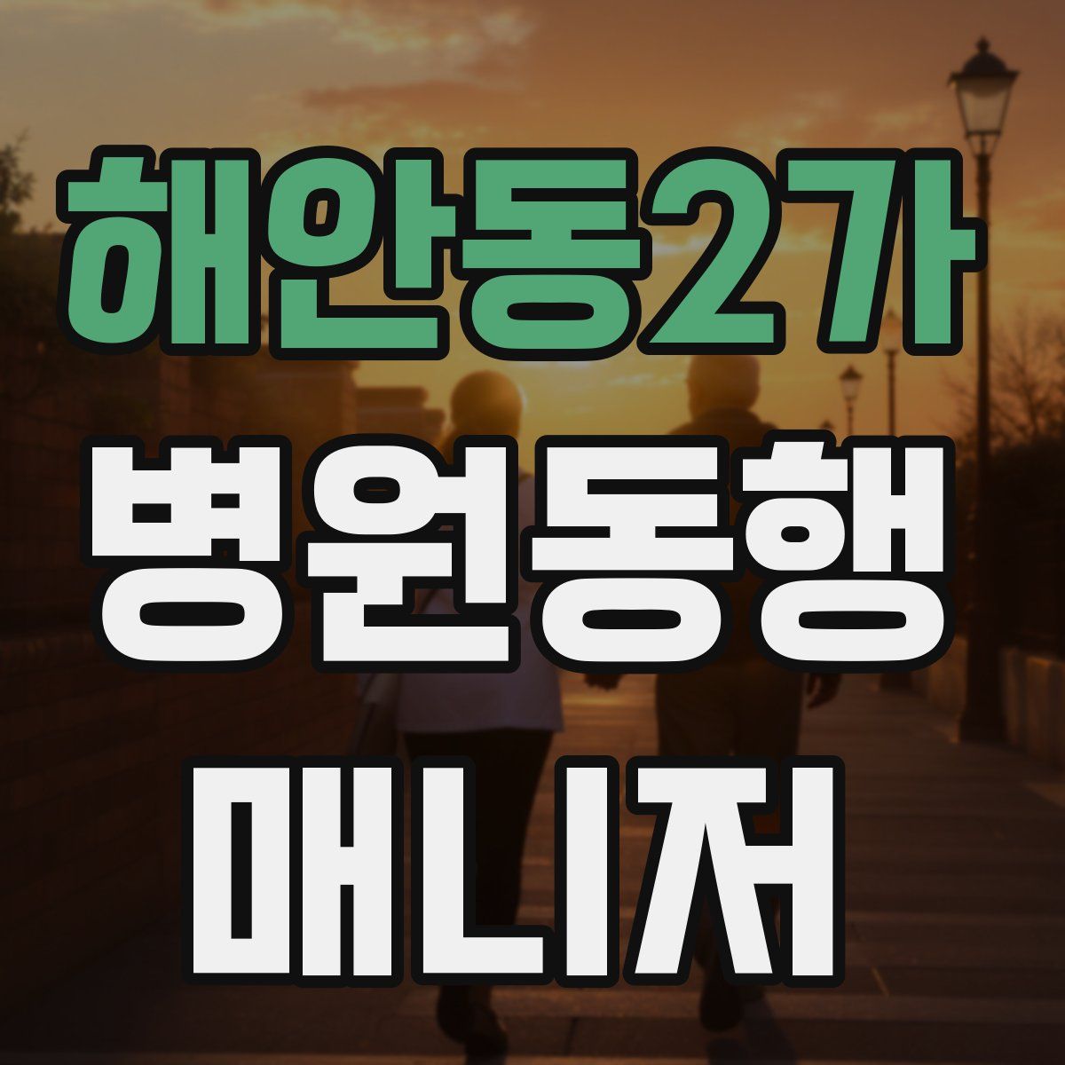 해안동2가 병원동행매니저 자격증