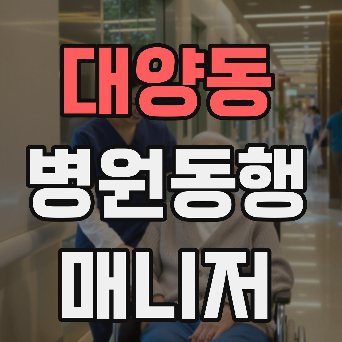대양동 병원동행매니저 자격증
