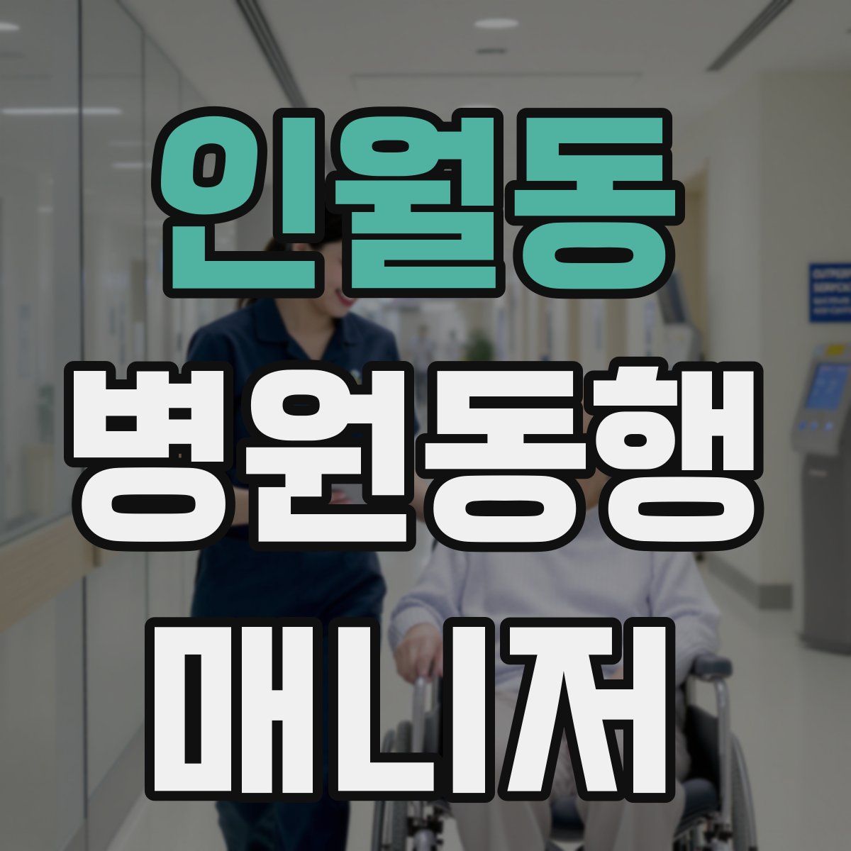 인월동 병원동행매니저 자격증