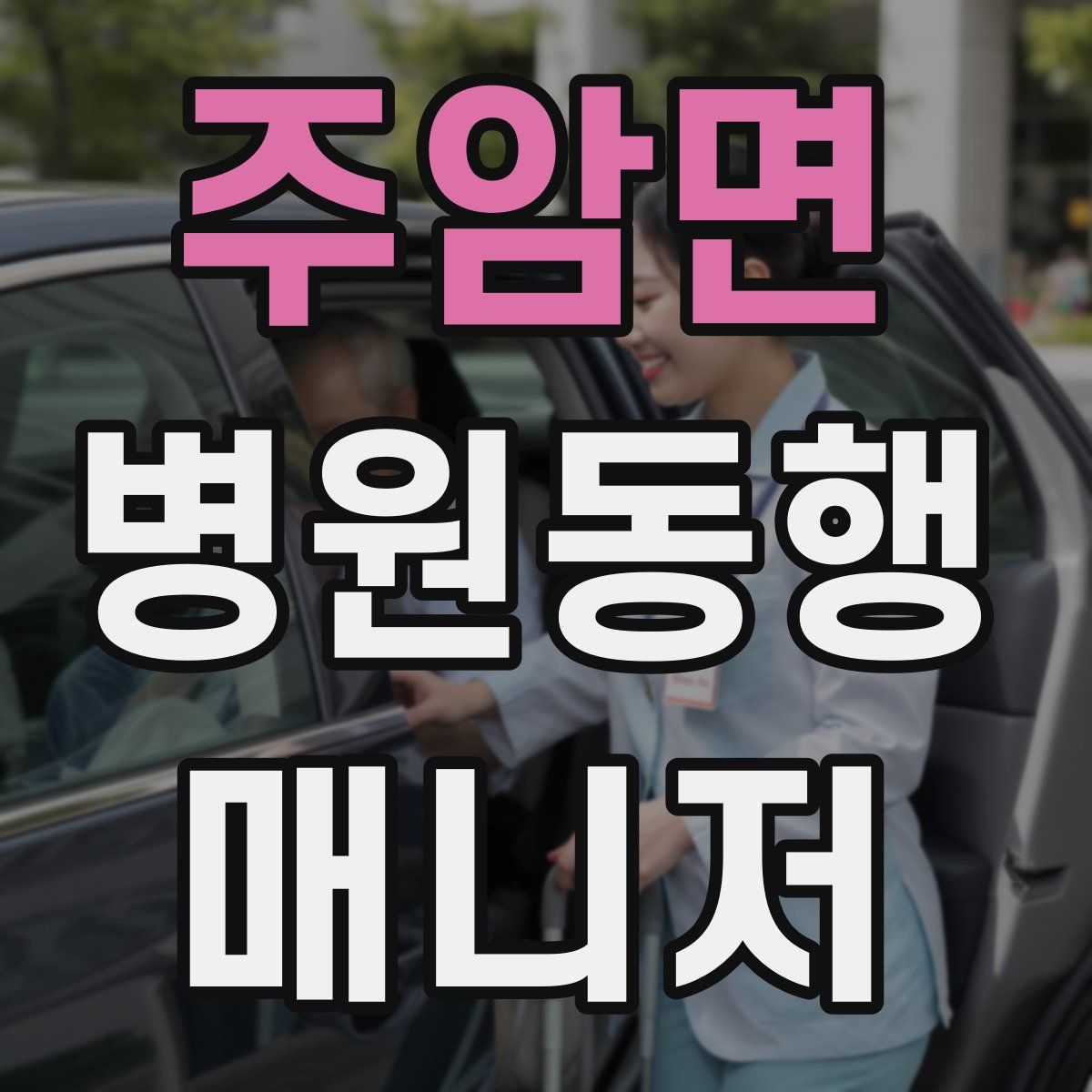 주암면 병원동행매니저 자격증