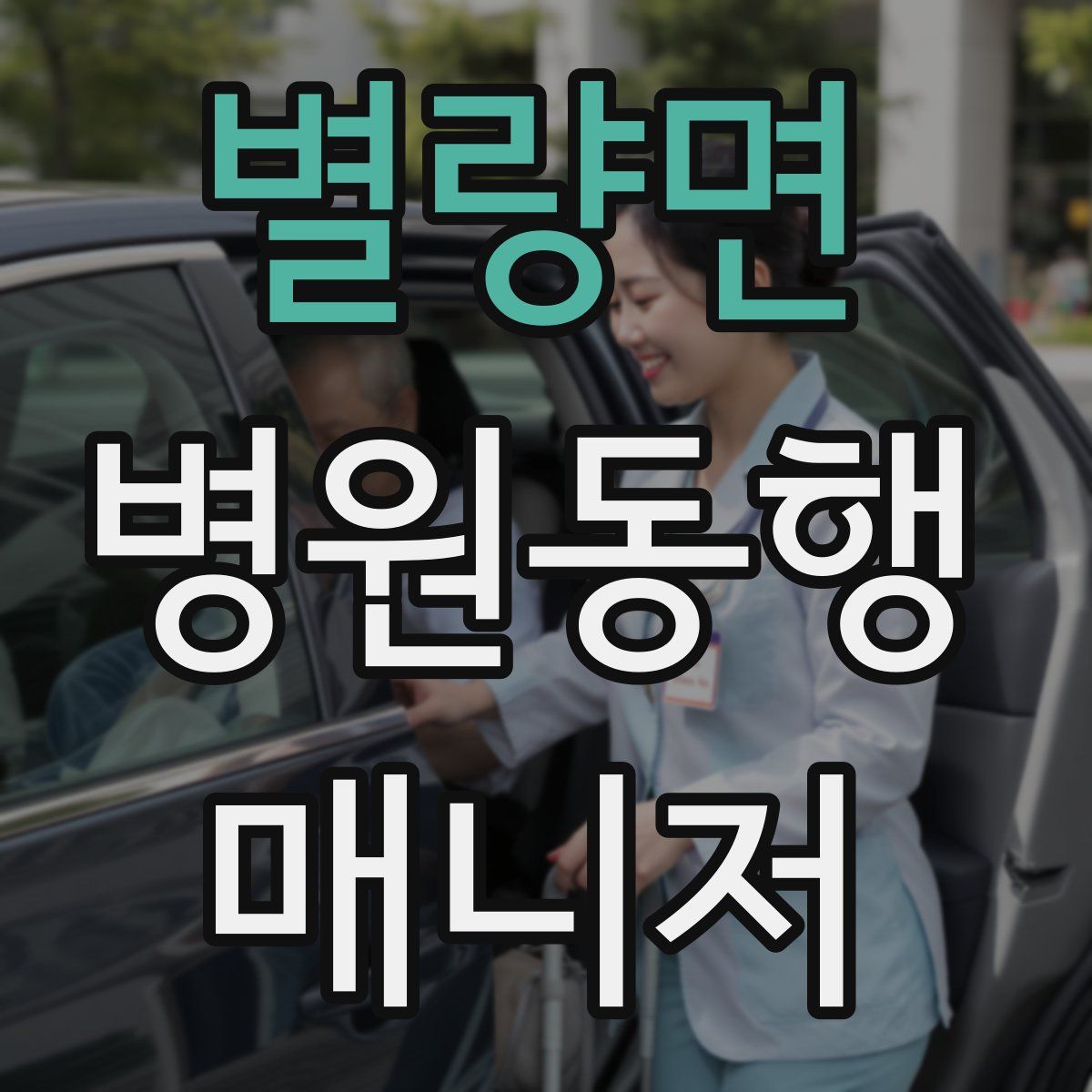 별량면 병원동행매니저 자격증