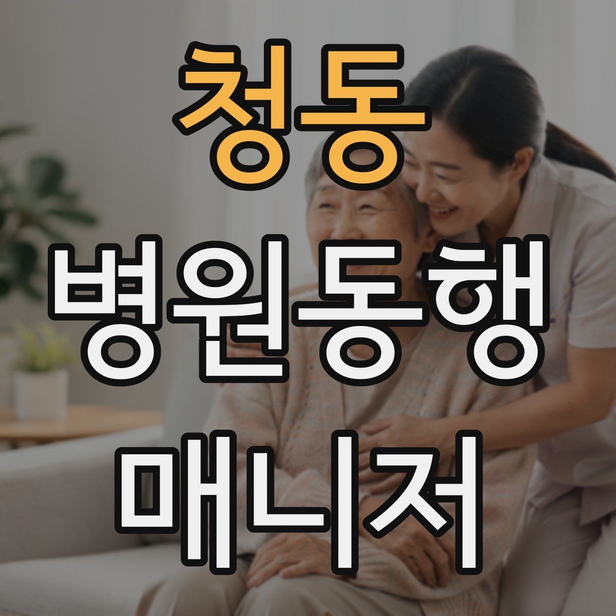 청동 병원동행매니저 자격증