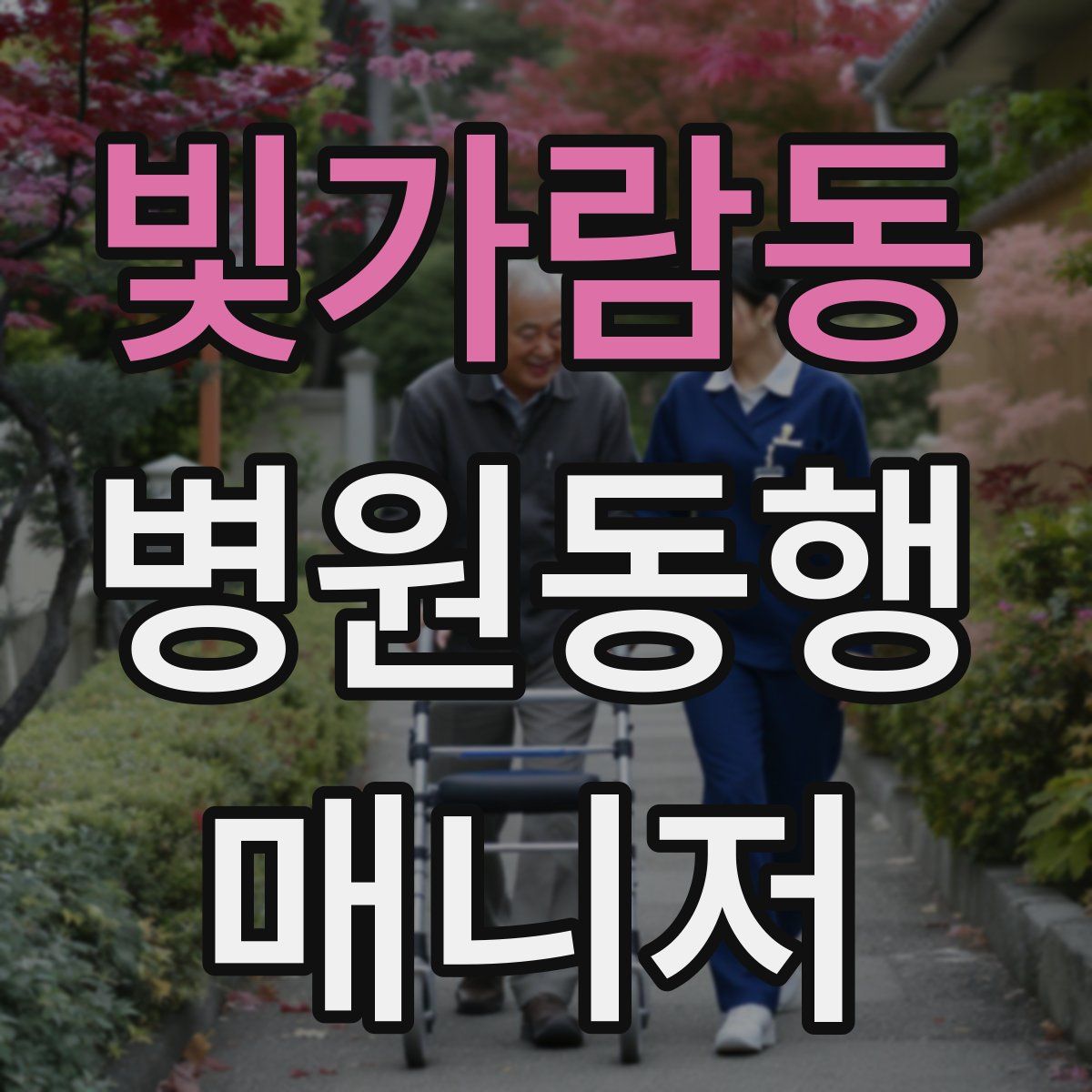 빛가람동 병원동행매니저 자격증