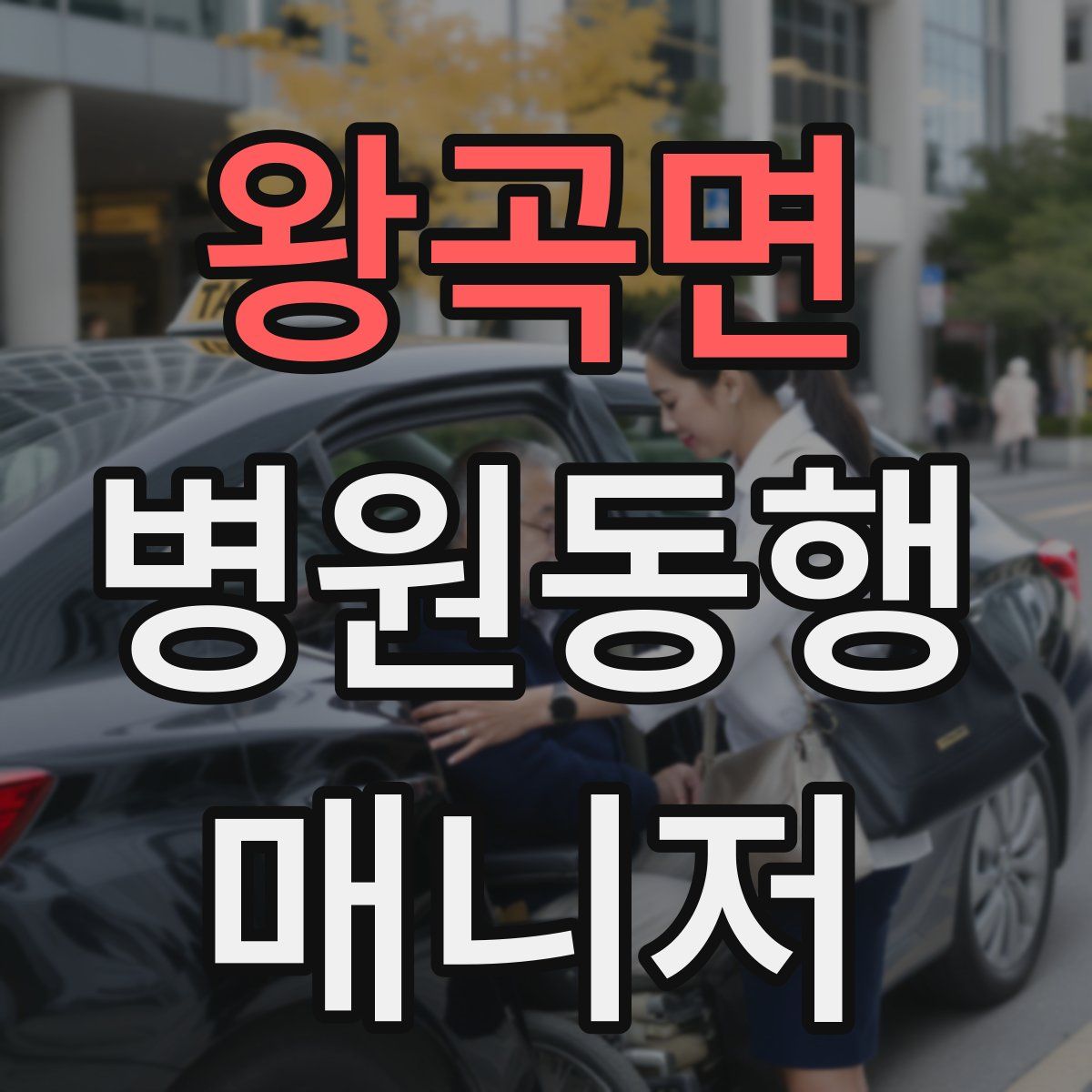 왕곡면 병원동행매니저 자격증