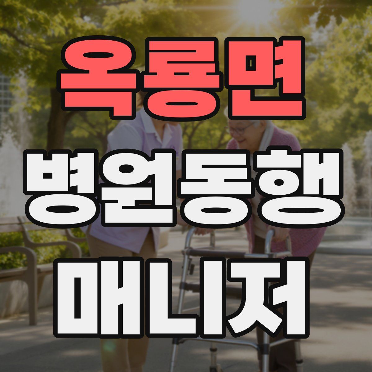 옥룡면 병원동행매니저 자격증