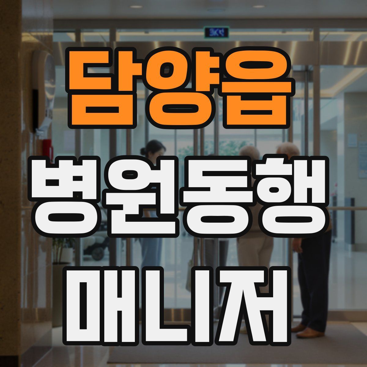 담양읍 병원동행매니저 자격증