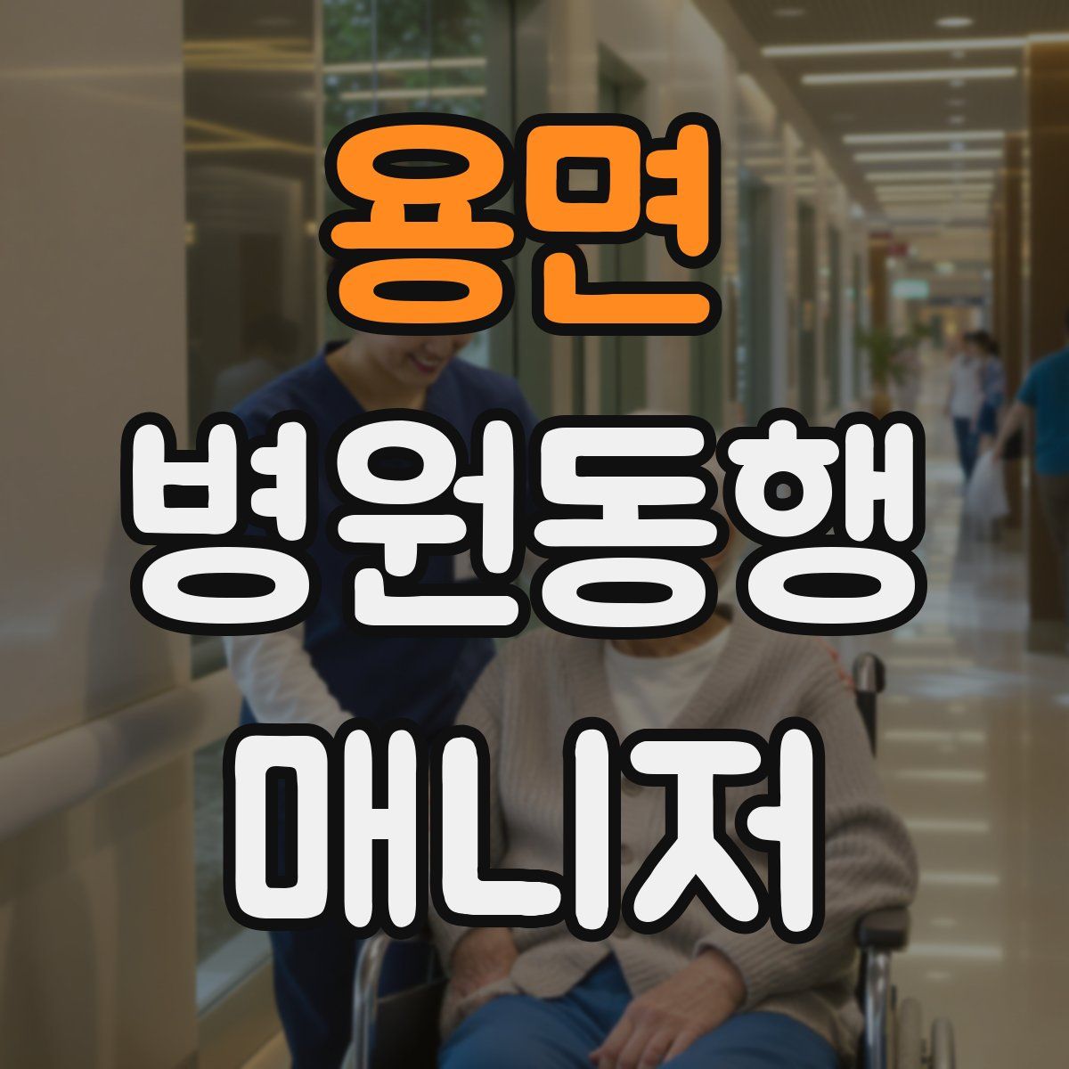 용면 병원동행매니저 자격증