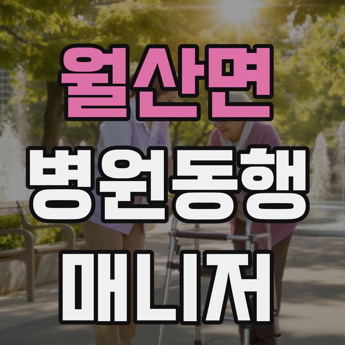 월산면 병원동행매니저 자격증