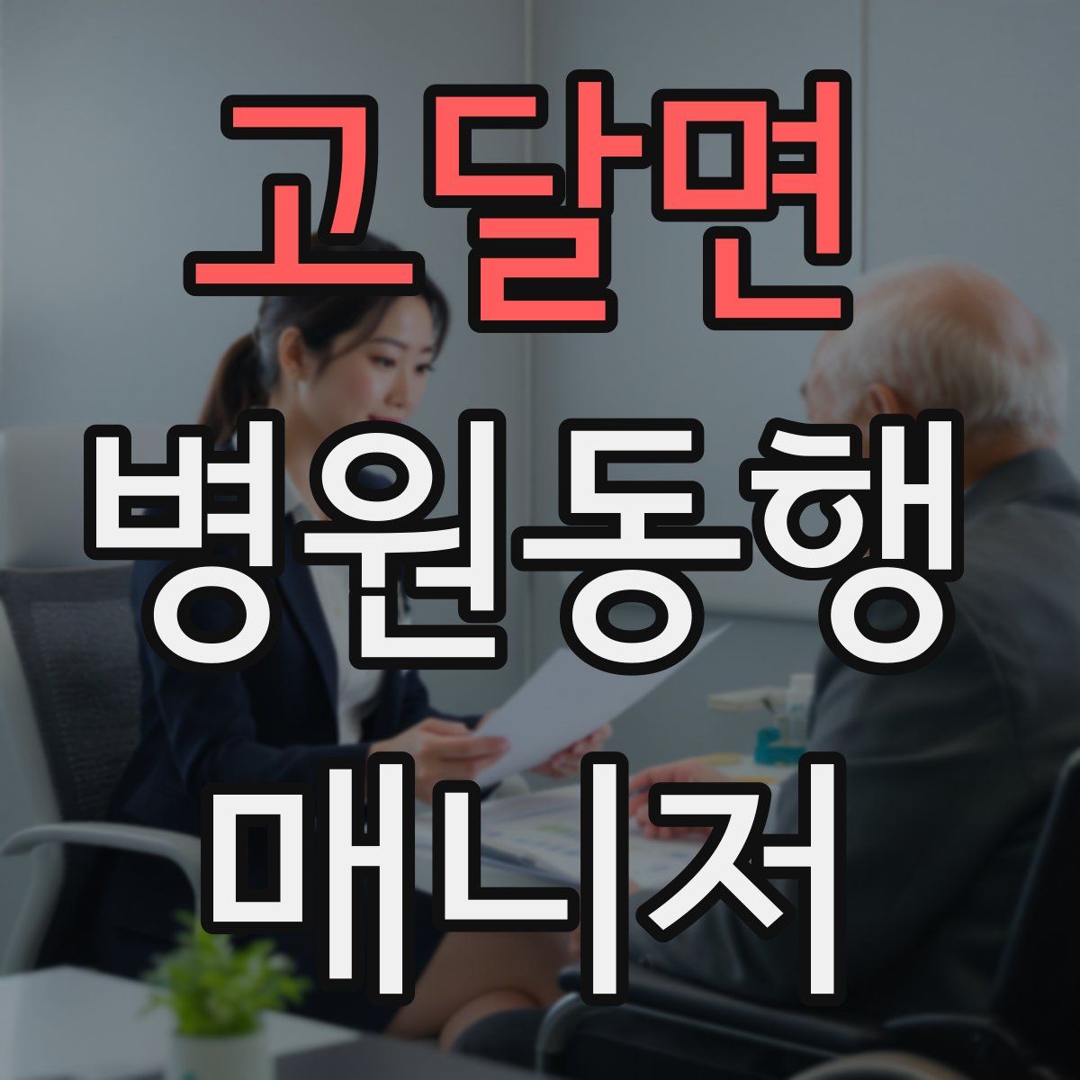 고달면 병원동행매니저 자격증