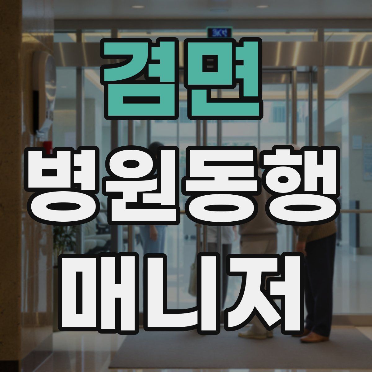 겸면 병원동행매니저 자격증