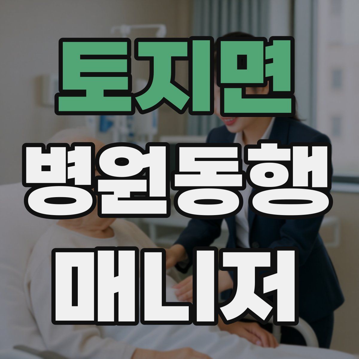 토지면 병원동행매니저 자격증