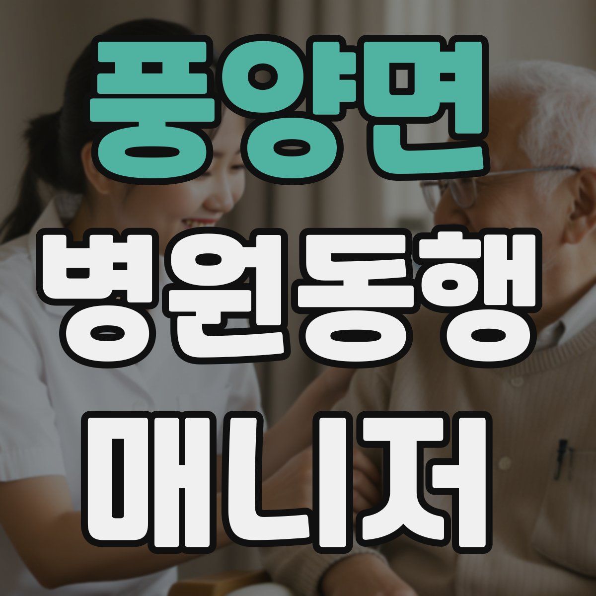 풍양면 병원동행매니저 자격증