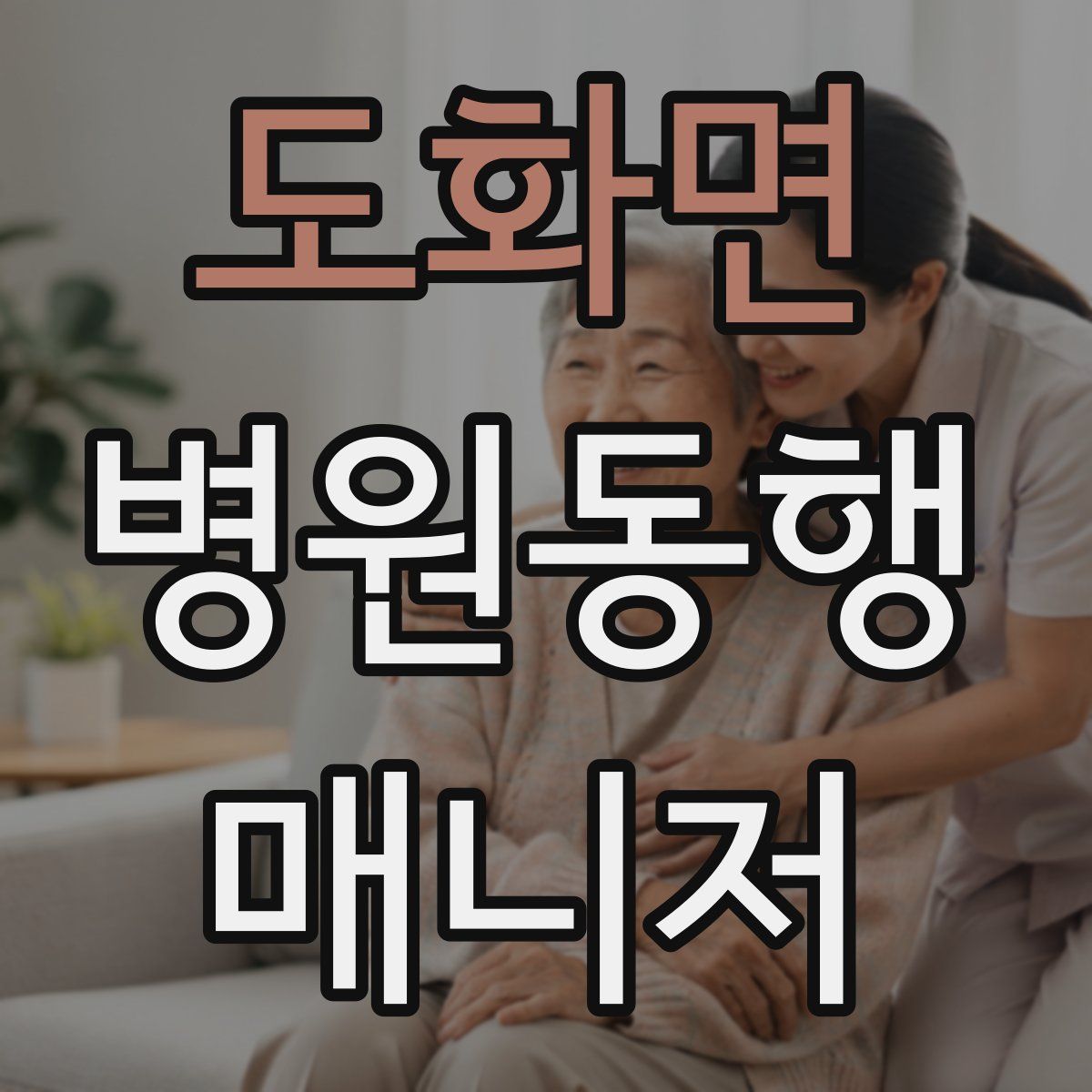 도화면 병원동행매니저 자격증