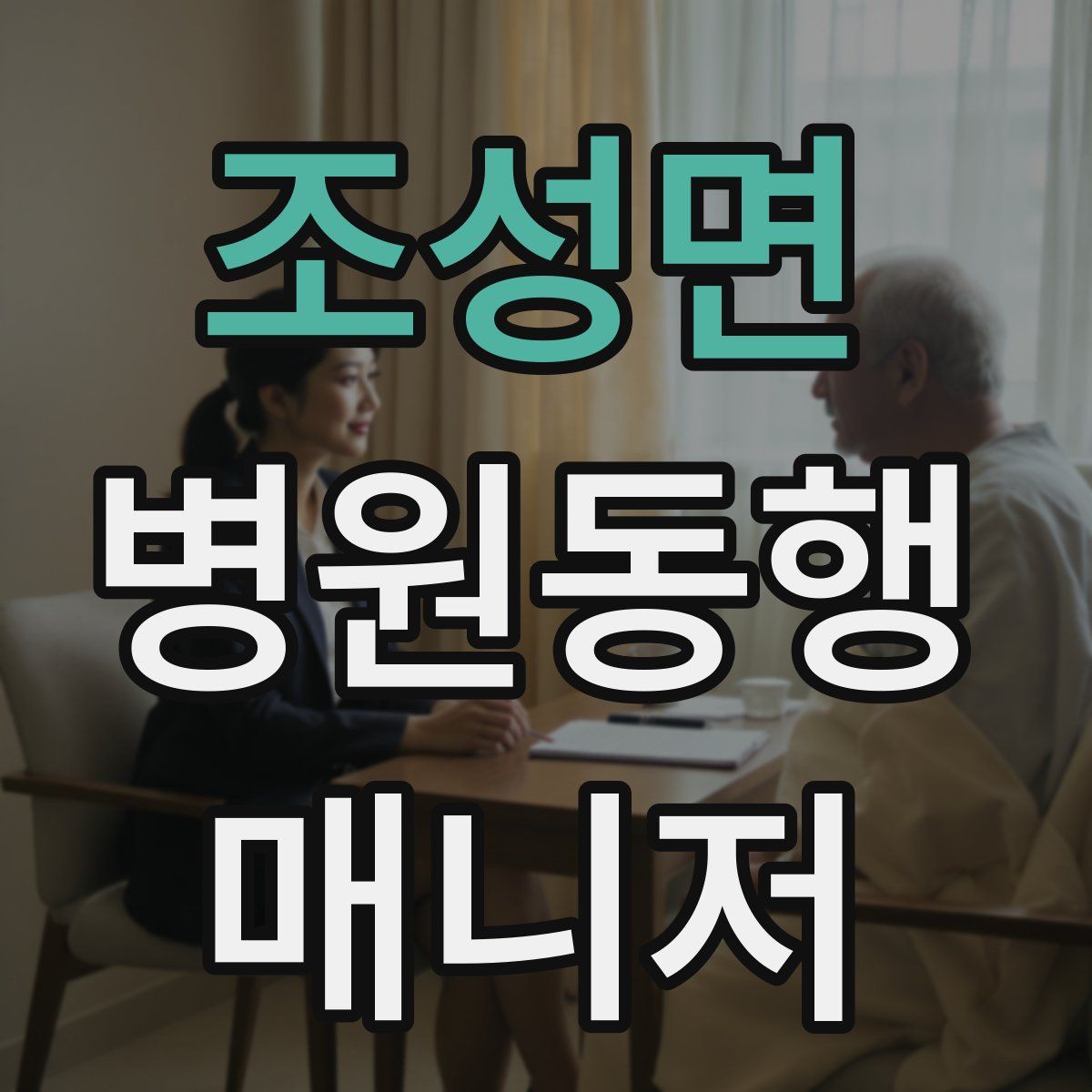 조성면 병원동행매니저 자격증