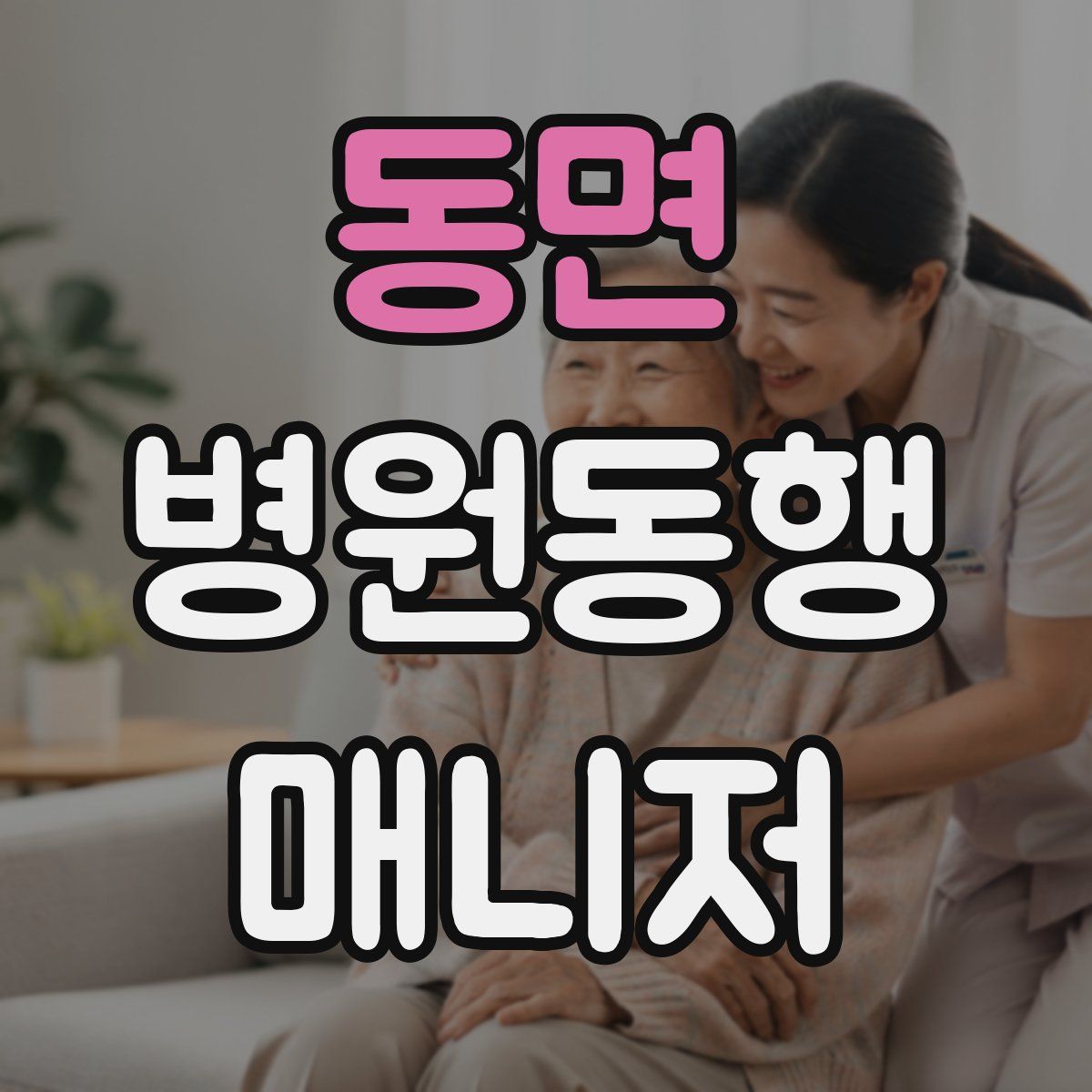 동면 병원동행매니저 자격증