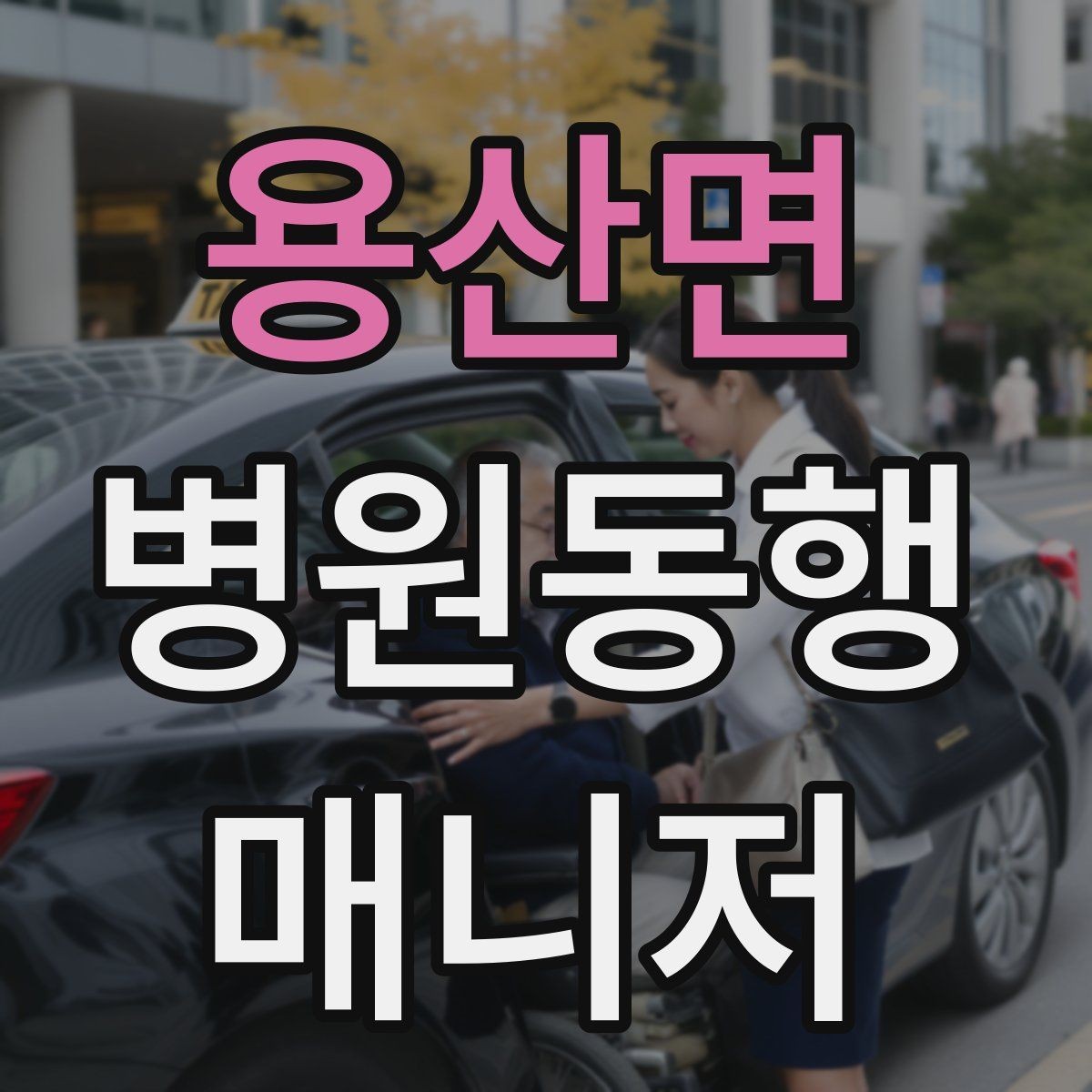 용산면 병원동행매니저 자격증 진료 예약 변경 시 확인 포인트