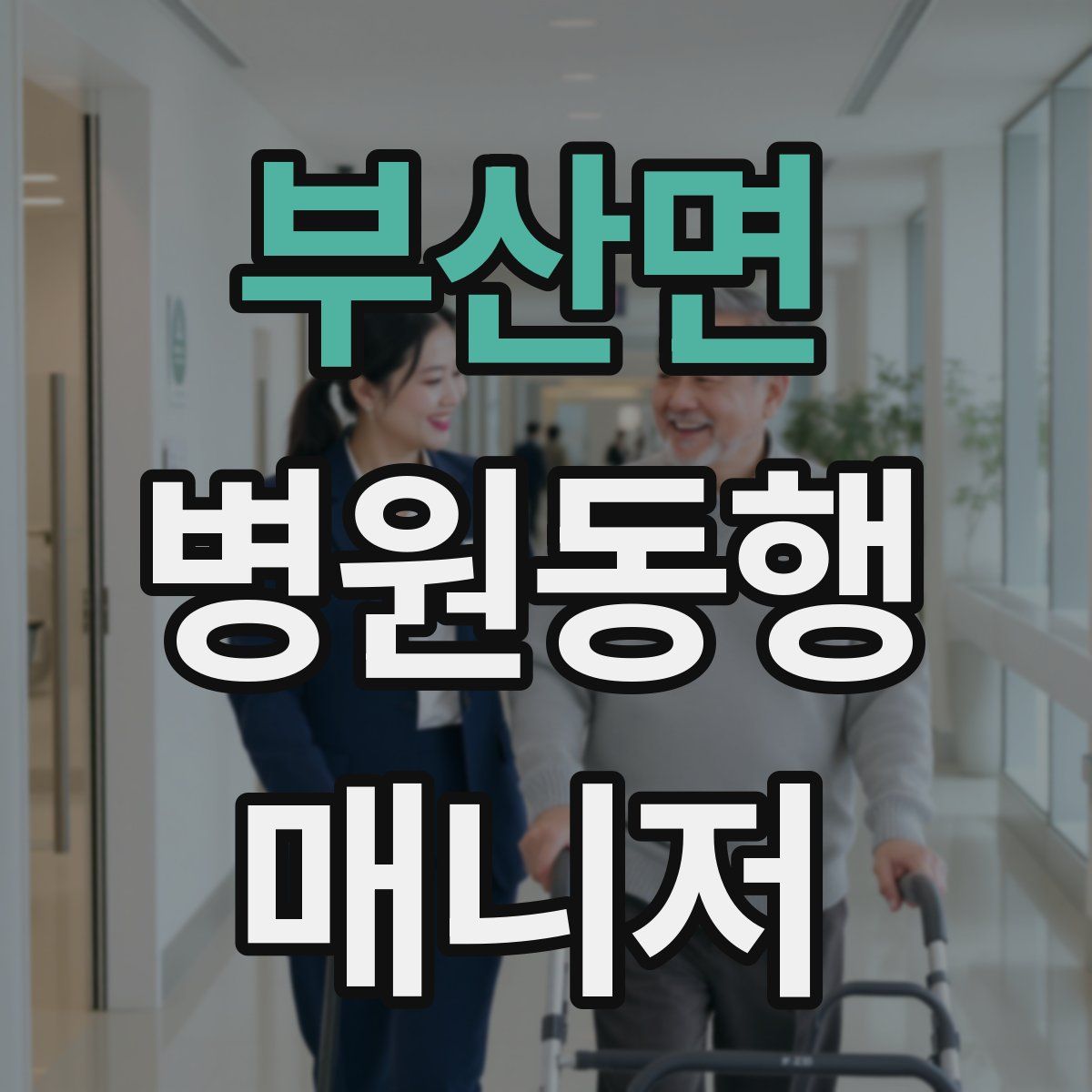 부산면 병원동행매니저 자격증