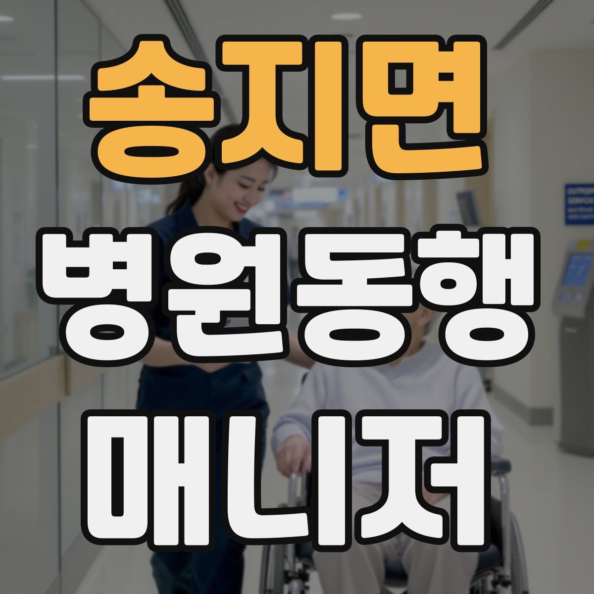 송지면 병원동행매니저 자격증