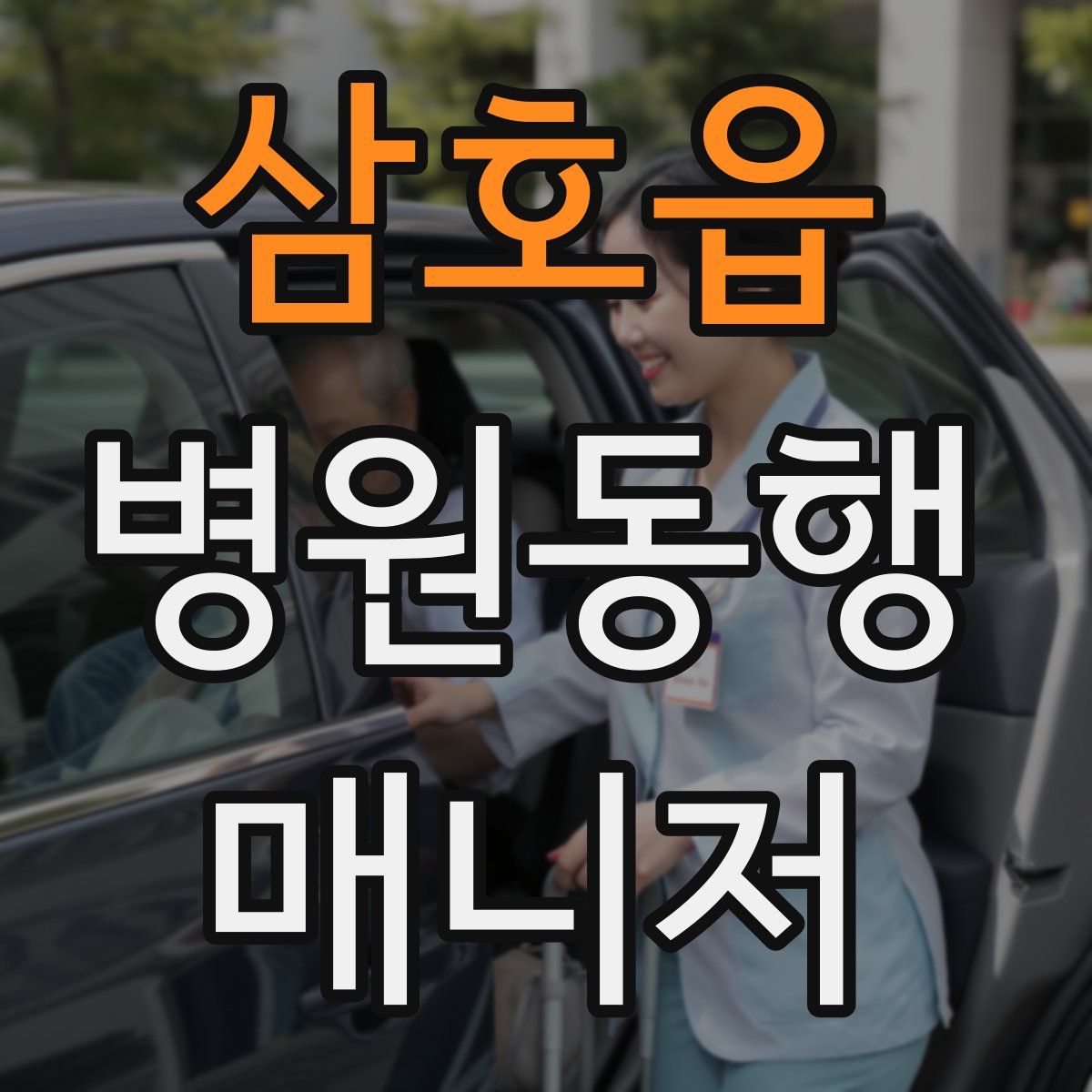 삼호읍 병원동행매니저 자격증