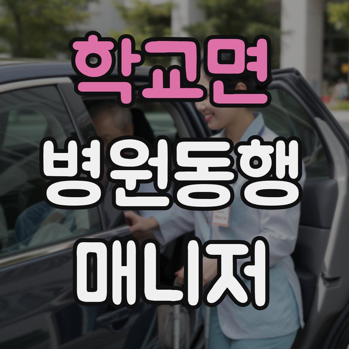 학교면 병원동행매니저 자격증