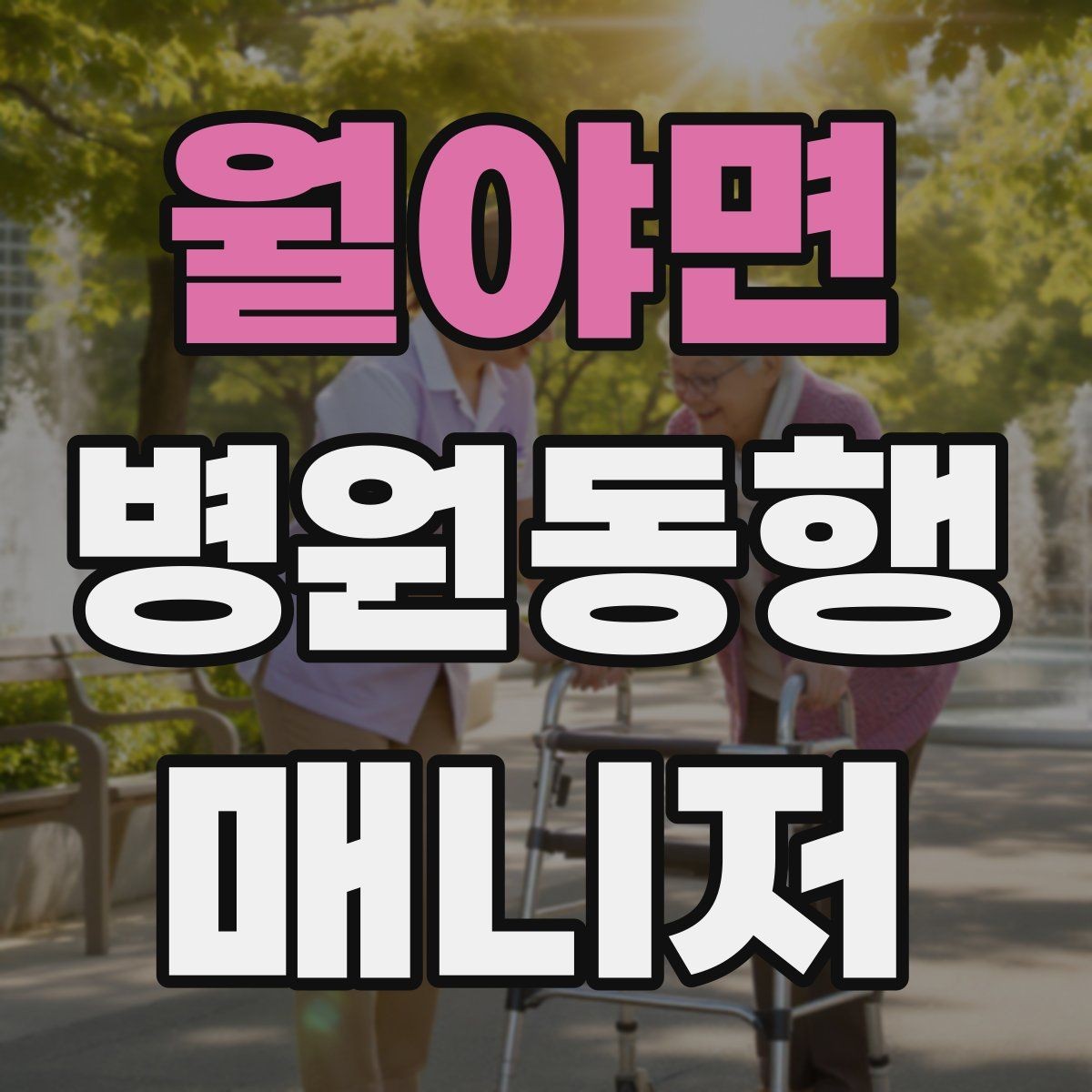 월야면 병원동행매니저 자격증 어떤 일을 하는지부터 정리해보기