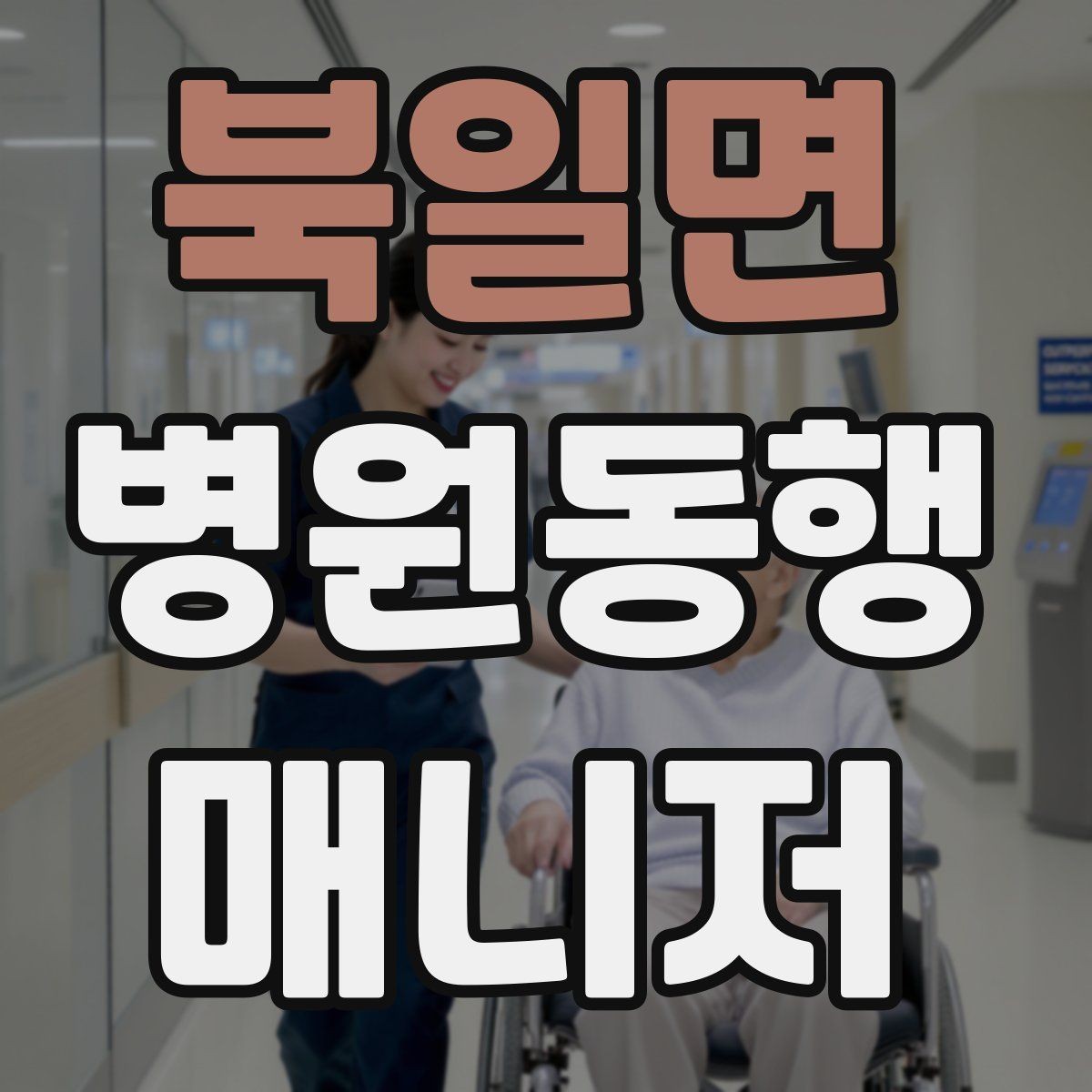 북일면 병원동행매니저 자격증 용어 정리만 해도 점수 오르는 이유